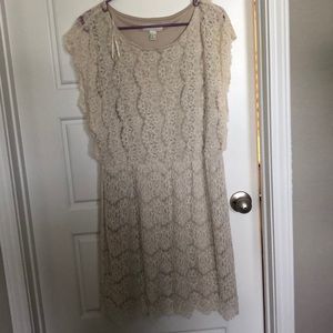 Forever 21 lace dress